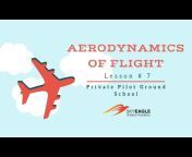 SkyEagle Aviation Academy