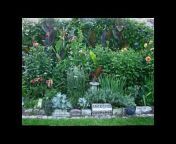 Home and Garden Ideas