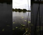 Irish fishing lakes, ponds, canals and seas