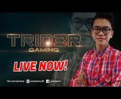 TR1D3R GAMING