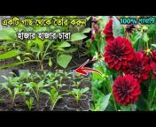 Biswa Bangla Krishi