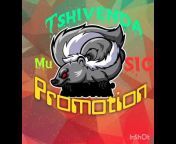 Tshivenda music Promotion