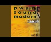 Pwani Sound Modern Taarab - Topic