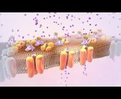 Nucleus Health Videos - Español