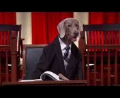 PuppyJusticeAutomated