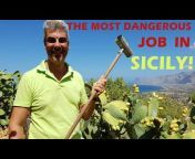 Best Things to Do in Sicily - RoundTrip Consulting