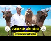 Khillar Maharashtrachi Shaan