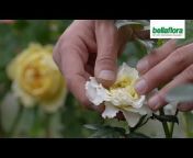 bellaflora - Die Welt der grünen Nummer 1