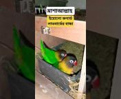 Birds Lover Of Bangladesh