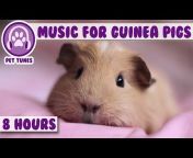 PetTunes - Music for Pets