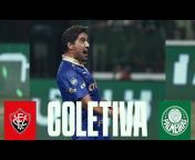 TV Palmeiras/FAM