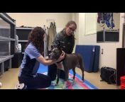 VCA Sacramento Veterinary Referral Center