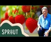 Sprout - Gardening Channel