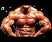 All About Bodybuilding