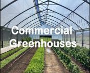 Redpath Greenhouses u0026 Dairyshelters New Zealand