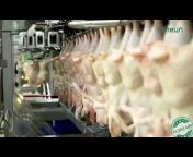 Meyn Poultry Processing Solutions