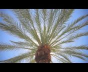 The Saguaro Scottsdale - a Joie de Vivre Hotel