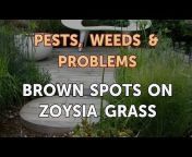 Pests, Weeds u0026 Problems