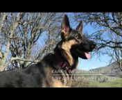 Kara a German Shepherd Adventure
