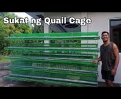 Quail Farming TV &#124; Lakbay Ni Alas