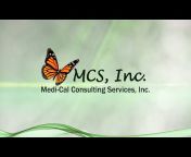 MEDI-CAL CONSULTING SERVICES