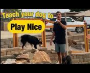 Beckman&#39;s Dog Training