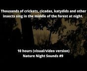Nature Sleep Serenity