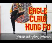 Eagle Claw Kung Fu u0026 Tai Chi of L.A.