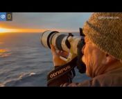 Lindblad Expeditions-National Geographic