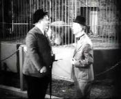 Laurel and Hardy Forum