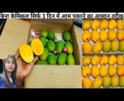 Kanpur kitchen u0026 vlogs