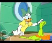 The Disney Duck Guy 82