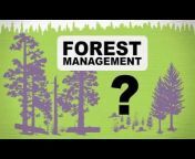 Washington&#39;s Working Forests