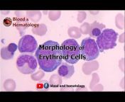 Blood and Hematology