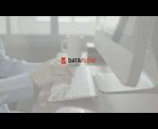 The DataFlow Group