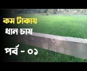 Daily Bangla Sambad