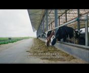 Wageningen Livestock Research