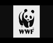 WWF Climate and Energy