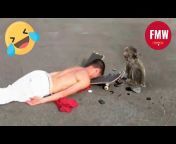 FMW - Funny Moments Of The Week