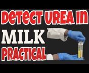Dairy Chemistry