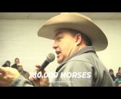 Billings Livestock Commission Horse Sales