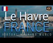Virtual Walking World