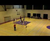 Ouest Lyonnais Basket