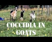 Green T Goats