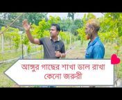 SCT Agriculture in Bangladesh