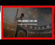 Fair Cricket