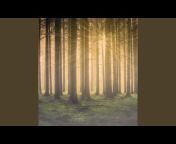 Sounds of Nature White Noise for Mindfulness Meditation And Relaxation - Topic