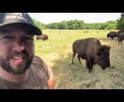 Cross Timbers Bison Clips