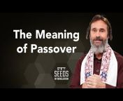Discovering the Jewish Jesus with Rabbi Schneider