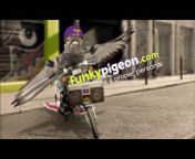 Funky Pigeon